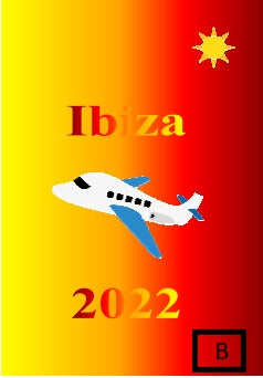 Personalised Luggage Tags (Set of 2)