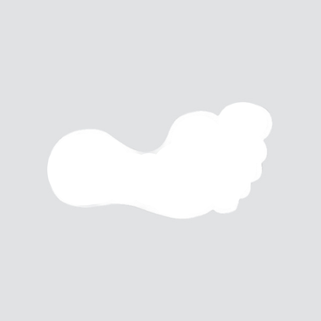 Footprint Shoe Labels