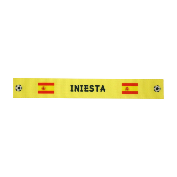 Personalised Luggage Strap (Euro Championship 2024)