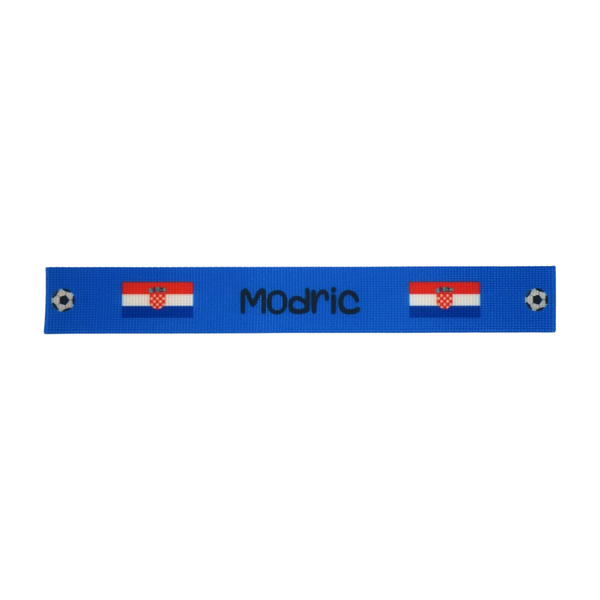 Personalised Luggage Strap (Euro Championship 2024)