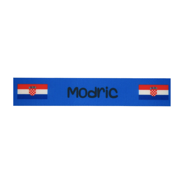 Personalised Luggage Strap (Euro Championship 2024)