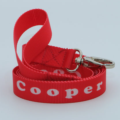 Personalised Dog Lead + Collar