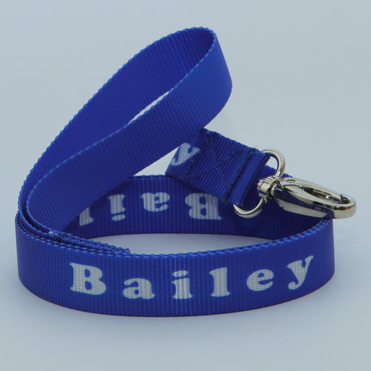 Blue 3m Dog Training Lead