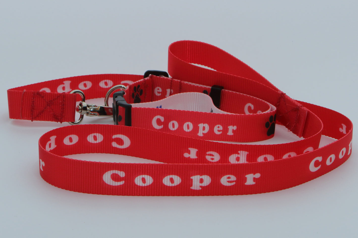 Personalised Dog Lead + Collar